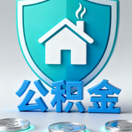 文昌公积金代办行业观察：谁在提供专业服务？